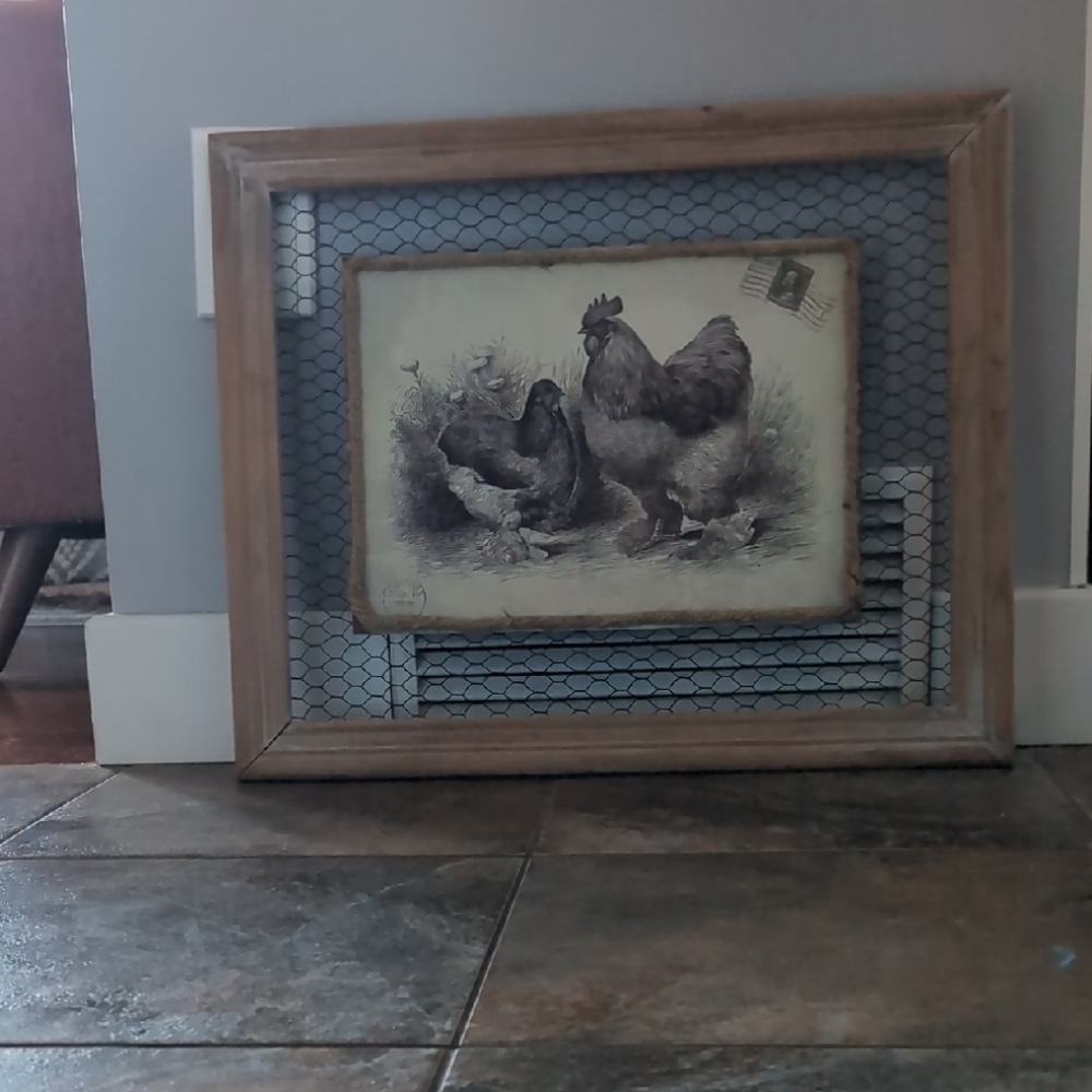 Rustic Farmhouse Chicken Wire Frame Art